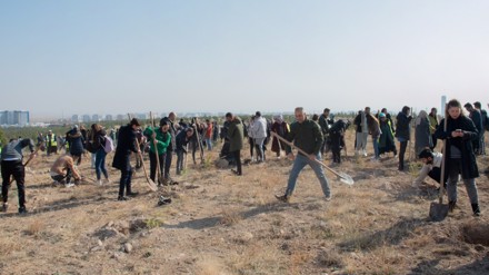Milli Ağaçlandırma Günü kapsamında 500 fidan toprakla buluşturuldu